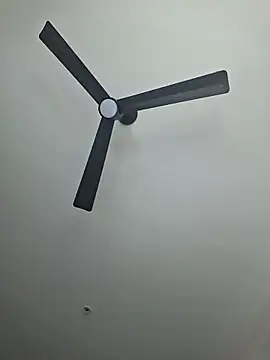 Cinnamonbunn's cam snapshot