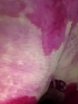 mehedi_hot live sex cam