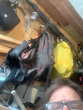 Likewise's cam snapshot