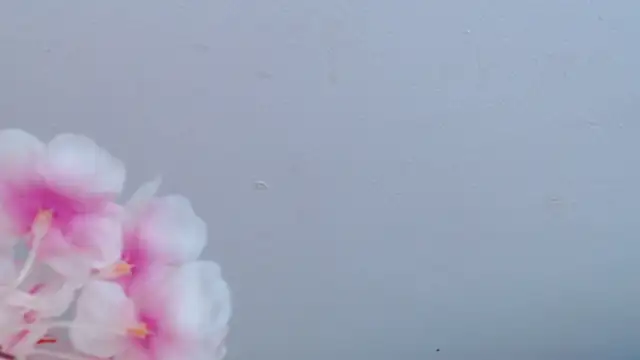 Kitty_f00x's cam snapshot