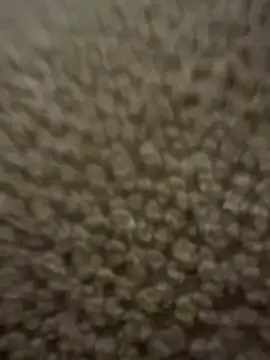 stelliew's cam snapshot