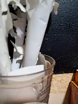 Ansiasex live sex cam