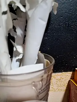 Ansiasex live sex cam