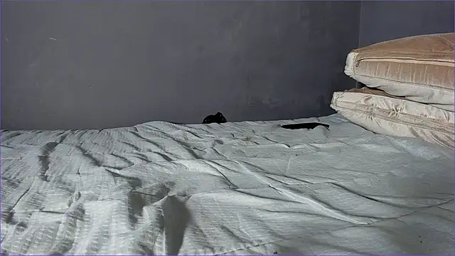 Brock_hurn1 live sex cam