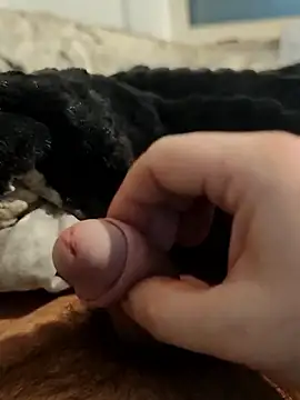 bigsweetdick87 live sex cam