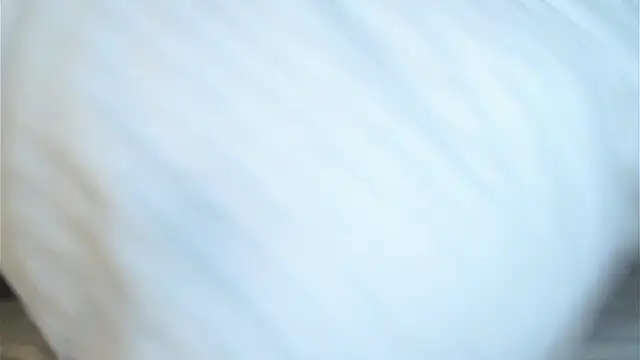 FalineBeacher's cam snapshot