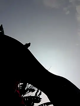 Jyoti_sekh live sex cam