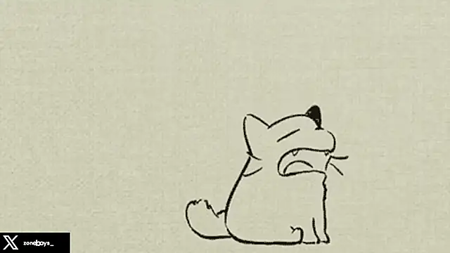 zoneboys live sex cam