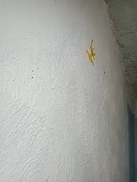 eroos_twink live sex cam