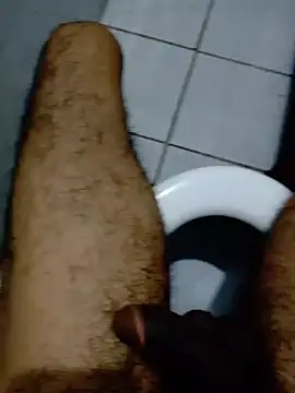 Haplis's cam snapshot