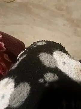 manuel1976's cam snapshot