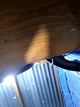 ThunderCat55 live sex cam