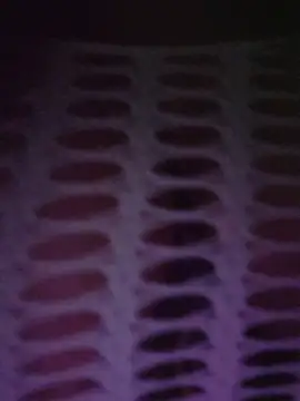 Roma_xxx's cam snapshot