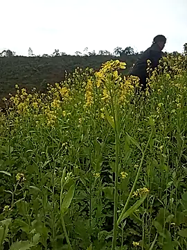 Girl_cutee's cam snapshot