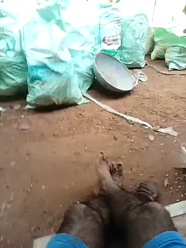 Royalk2030 live sex cam