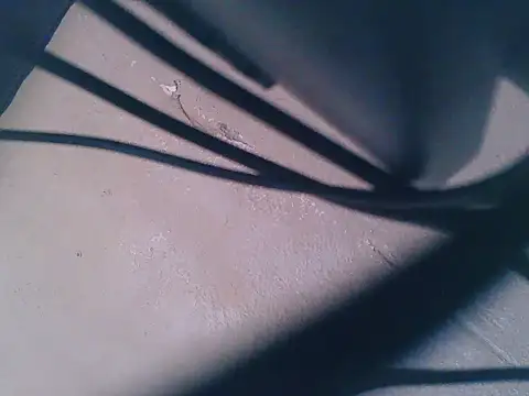 sexbaee live sex cam