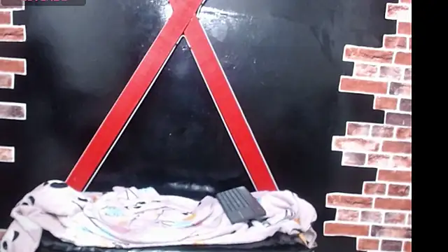 raven_robin_'s cam snapshot