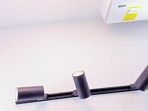 DaphneBlack's cam snapshot