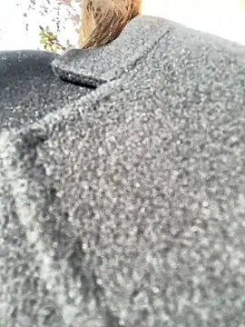 mi-ki1314's cam snapshot