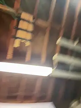 bongripingclitlicker live sex cam