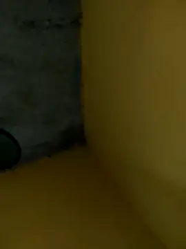 elcogecoge12 live sex cam