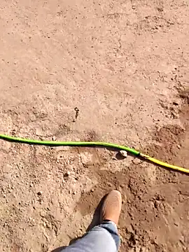 xmanrawan2 live sex cam