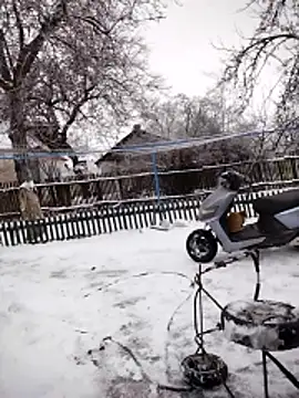 Alexilon's cam snapshot