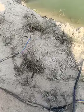 PolarFriend0 live sex cam