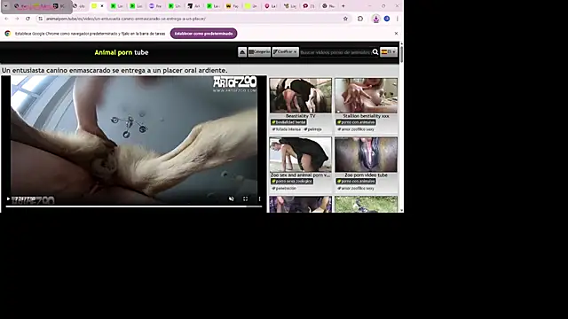 Babyyrasta666's cam snapshot