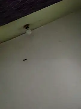 yamini1431's cam snapshot