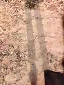 xmanrawan2's cam snapshot