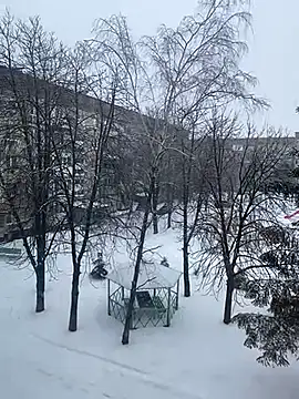 Prolisok473's cam snapshot