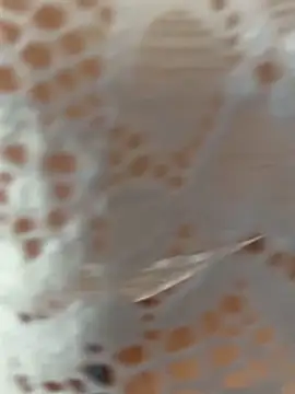 EvaLinaaa live sex cam