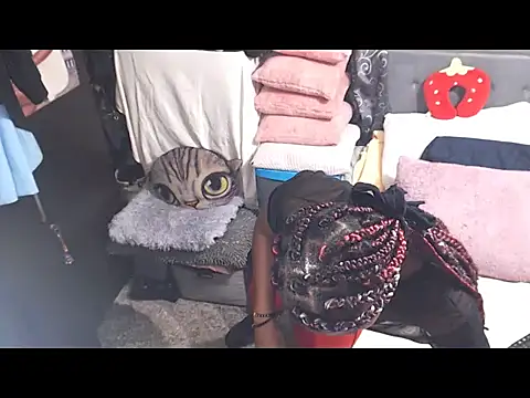 alanalaurent15's cam snapshot