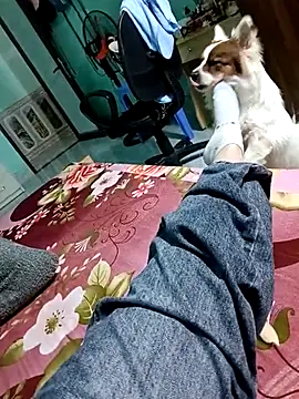 lylinhjim live sex cam