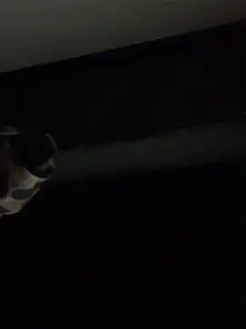 ethergodess9's cam snapshot