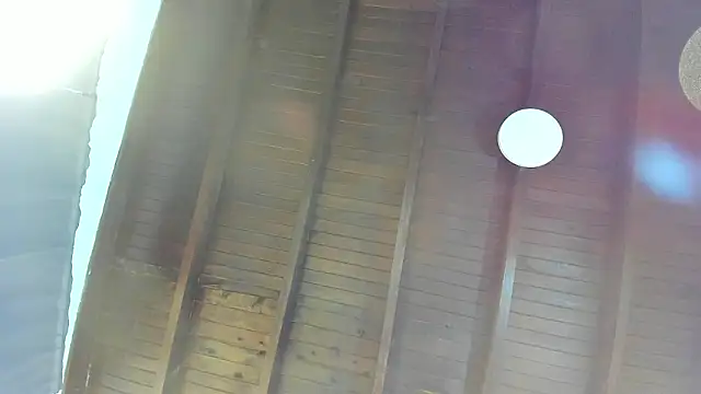 Babylattin live sex cam