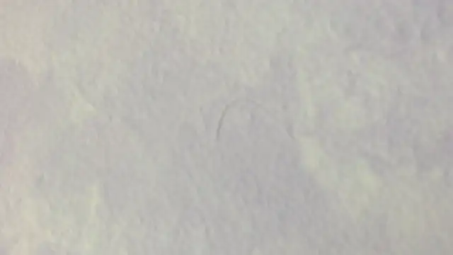 andrea_lopeez live sex cam