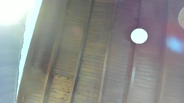 Babylattin's cam snapshot