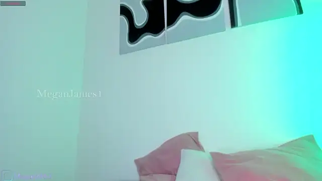 meganjames1's cam snapshot