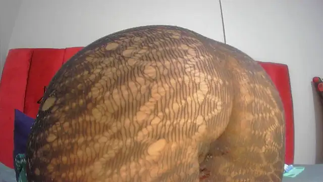 assqueenxx's cam snapshot