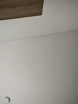 lauflor's cam snapshot