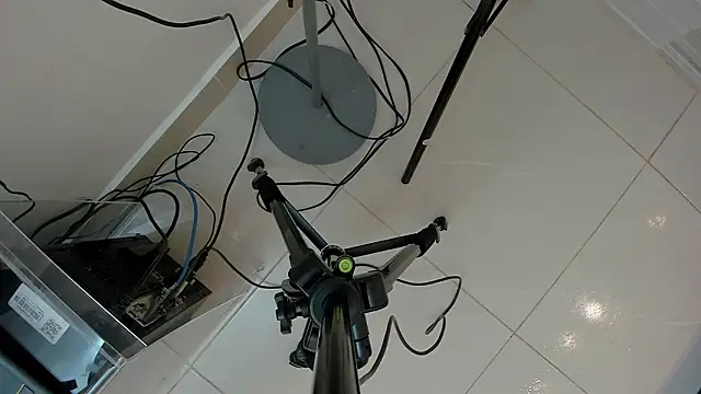 sasha_wayne's cam snapshot