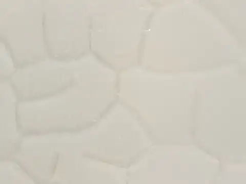 katasanz's cam snapshot