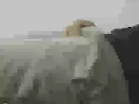 straightnd's cam snapshot