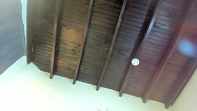 Babylattin live sex cam