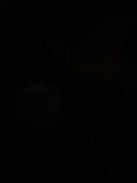 Daniel_cornel live sex cam