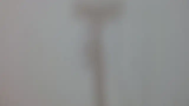 Iris_bloom69 live sex cam