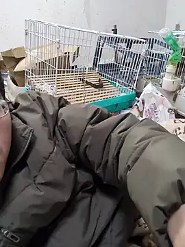 youheikun's cam snapshot