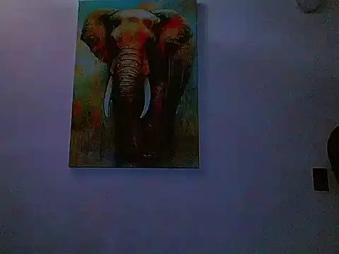 gabriel_spy12's cam snapshot